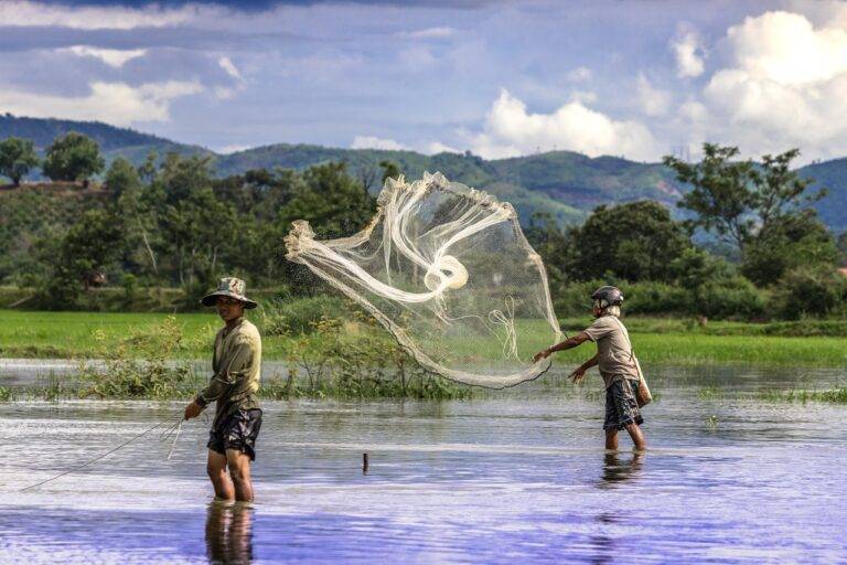 The Science of Sleep Hygiene: Creating Healthy Sleep Habits for Better Rest