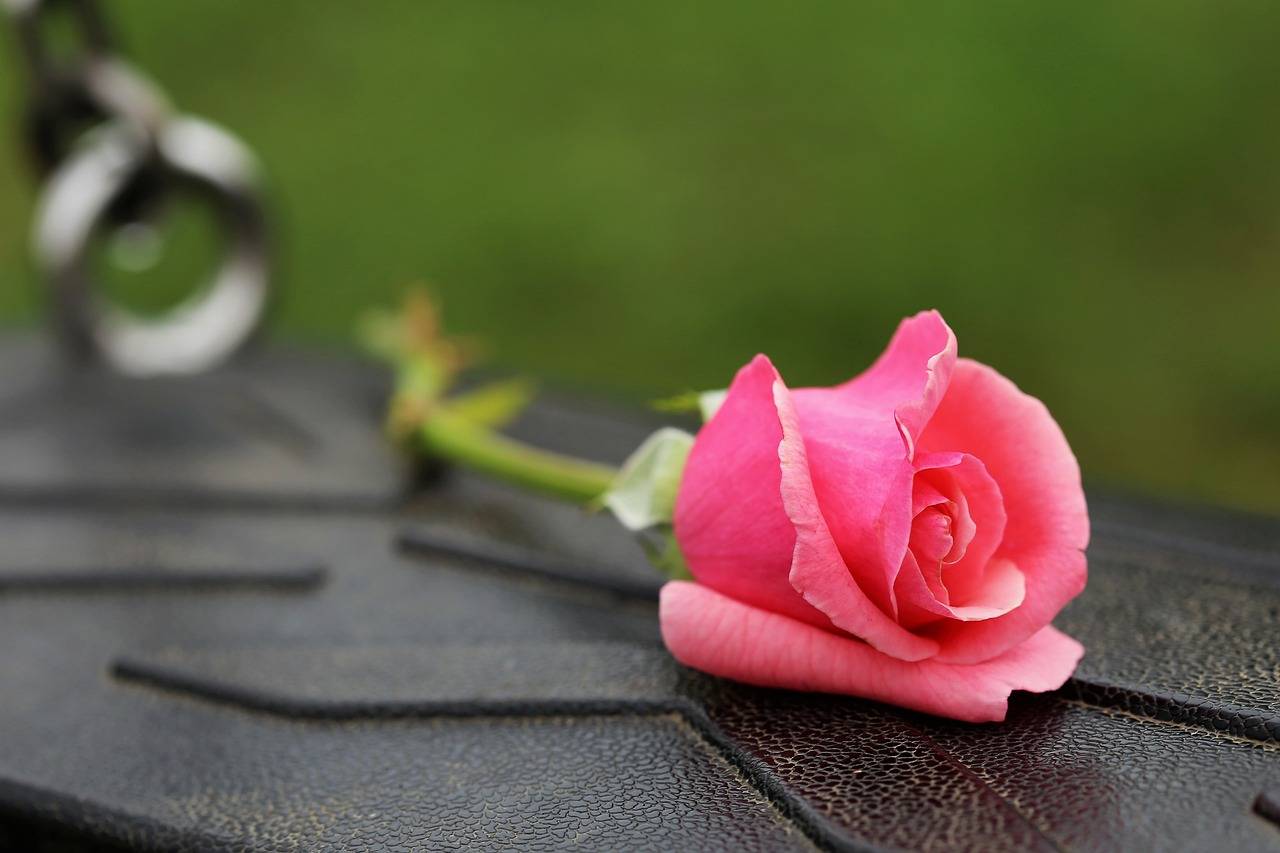 The Importance of Environmental Education